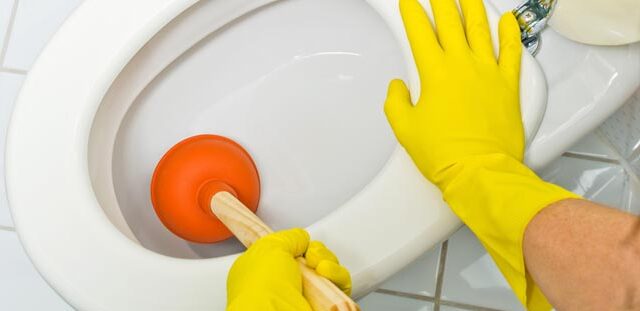 Fix Toilet Clog
